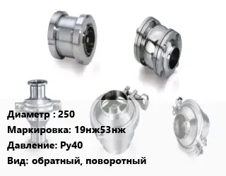 Клапан нержавеющий 250 19нж53нж Ру40 обратный, поворотный